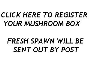 Register Mushroom Box